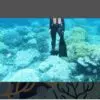 Great Barrier Reef Community Stewardship Program – Round 2