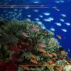 Our Marine Parks Grants Round 5: $5.6million for Tourism and Fishing