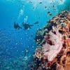 QLD Tourism Grants QLD Tourism Grants