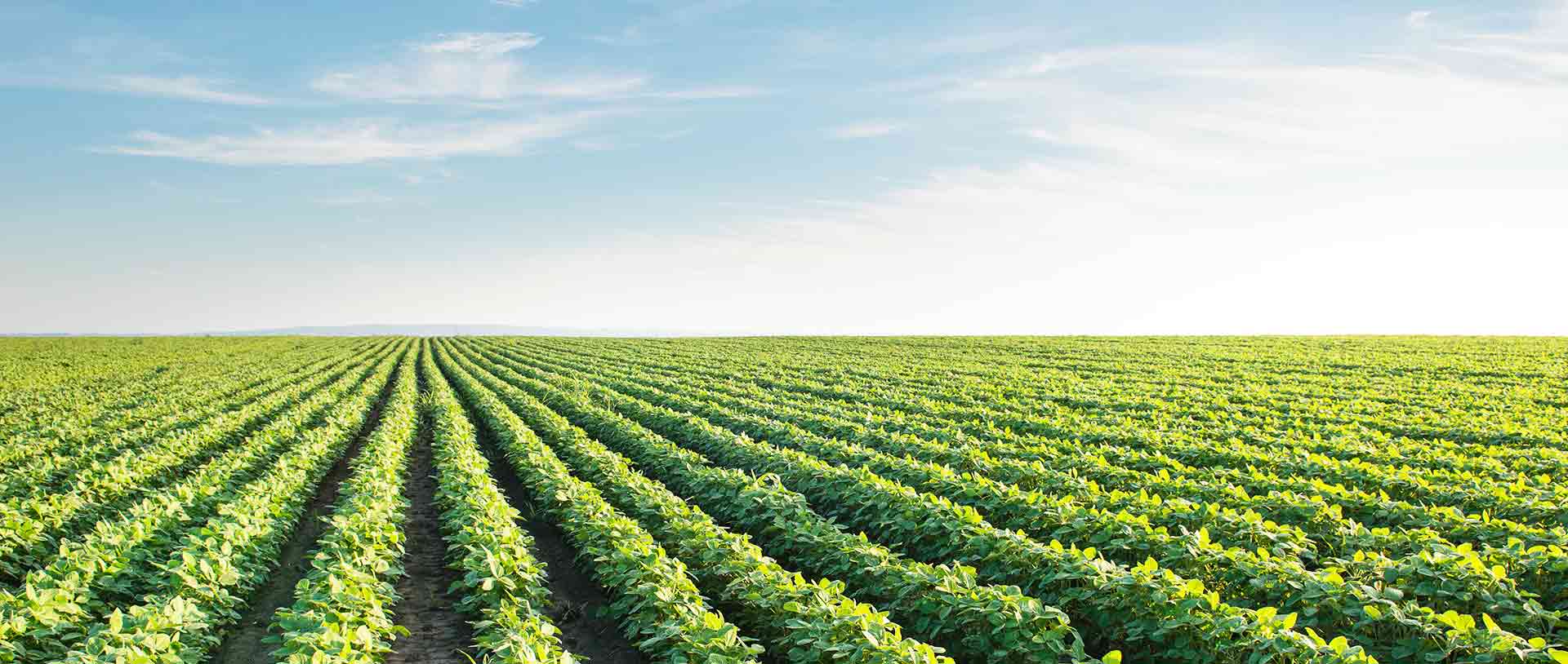 WA Grants and Loans for Farming sector Agriculture grants