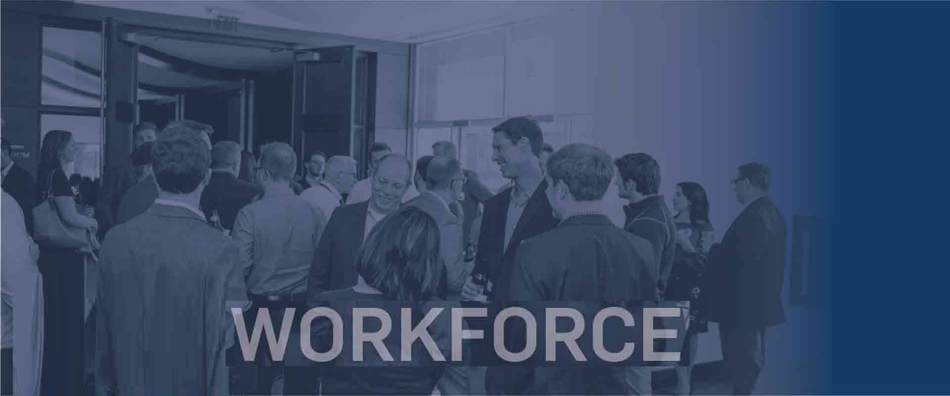Employment Grants & Wage Subsidies Employment Grants