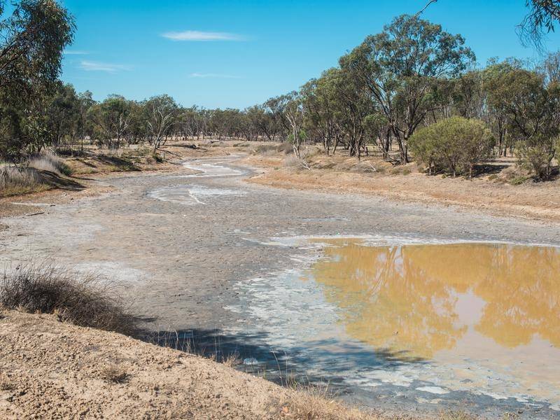 Grants for Drought Affected Businesses