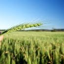 Funding For the Farming Sector Funding For the Farming Sector Australia