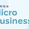Micro Business Grant MicroBusiness Grant Support