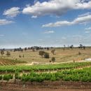 Agricultural and Primary Producer Grants Agricultural and Primary Producer Grants