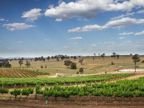 Agricultural and Primary Producer Grants