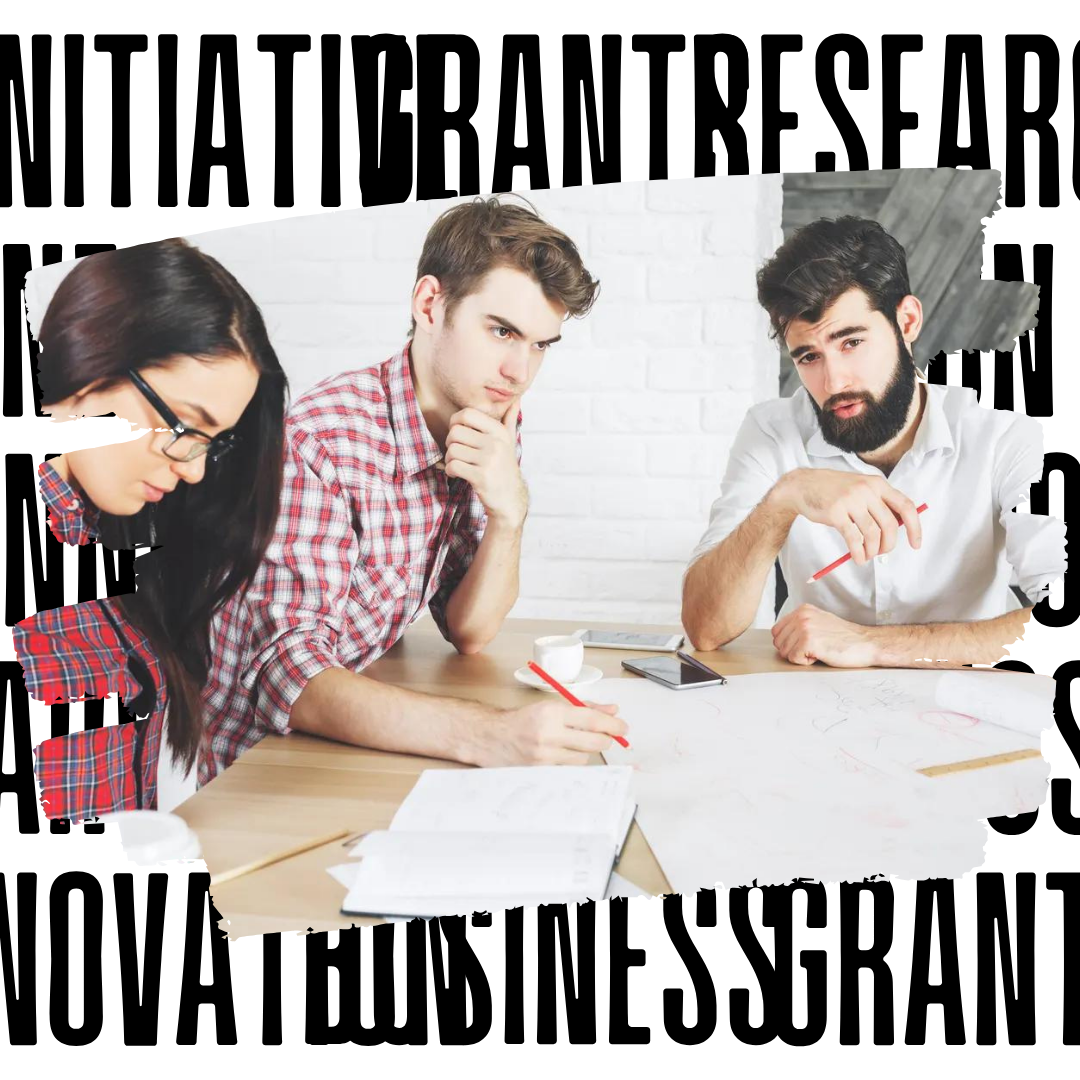 Business Research and Innovation Initiative (BRII)