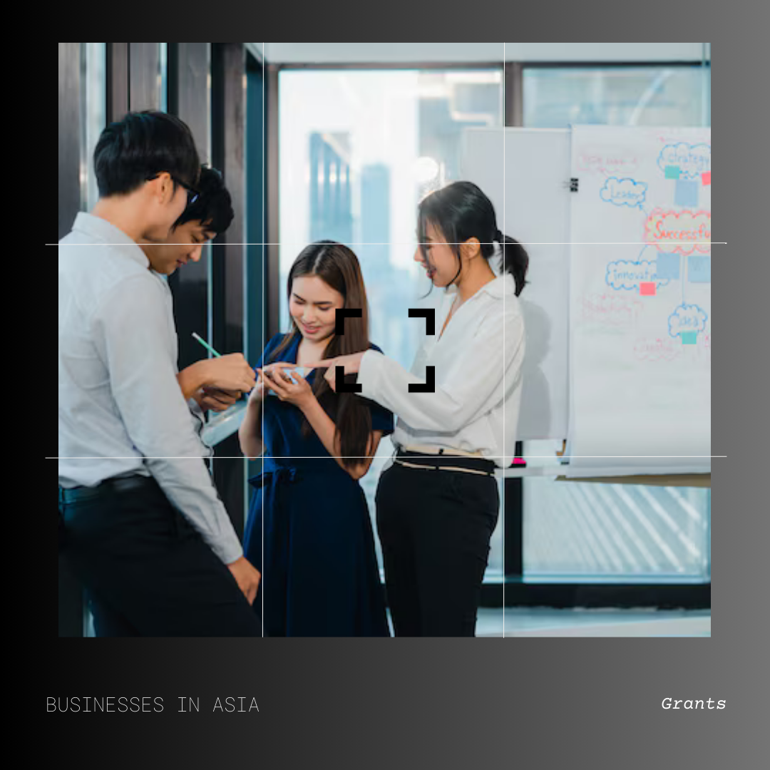 Asia Access Business Grants Program