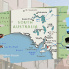 Finding Small Business Grants South Australia