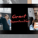 Unlocking Opportunities: Discover $10,000 Government Grant Programs for Small Businesses in Queensland Unlocking Opportunities: Discover $10,000 Government Grant Programs for Small Businesses in Queensland