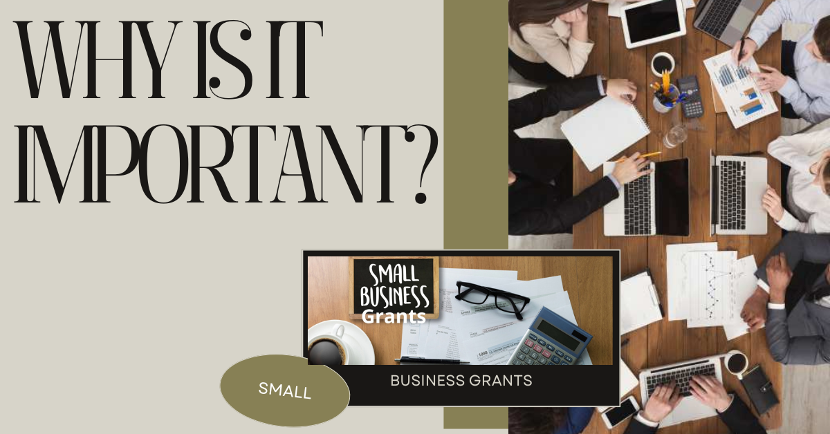 The Importance of Business Grants