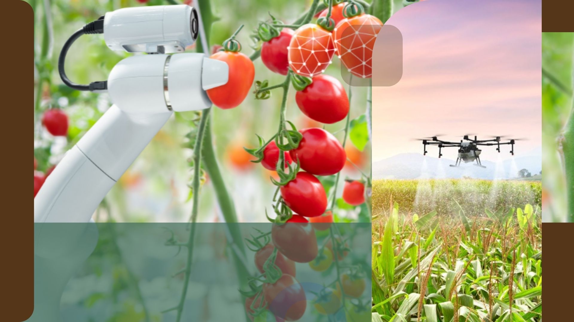 Agricultural Innovation: The Climate Adaptation Imperative