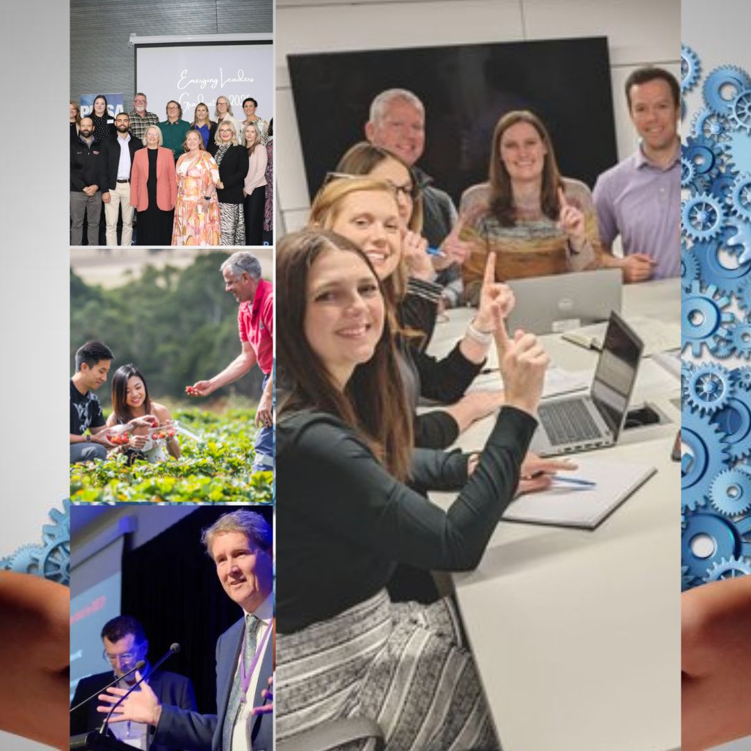 Regional Development Incentives