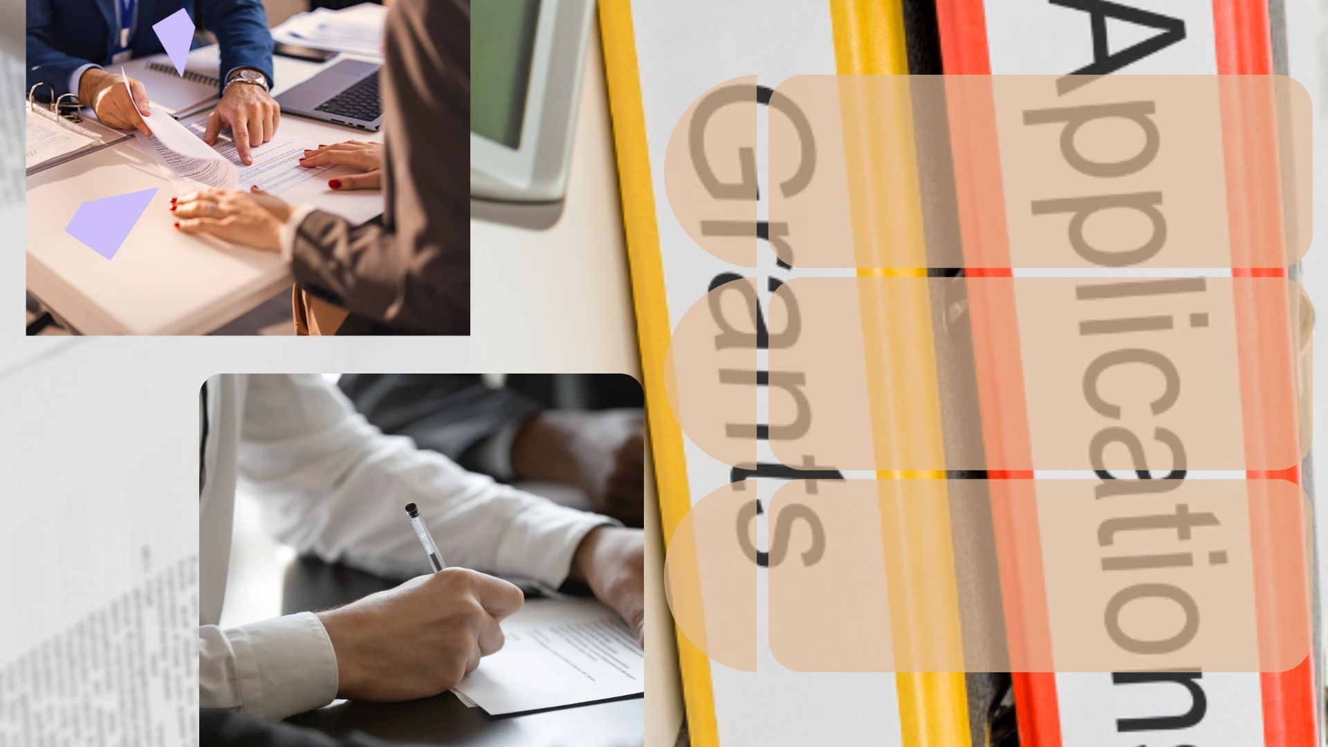 Who Can Apply? Eligibility Essentials