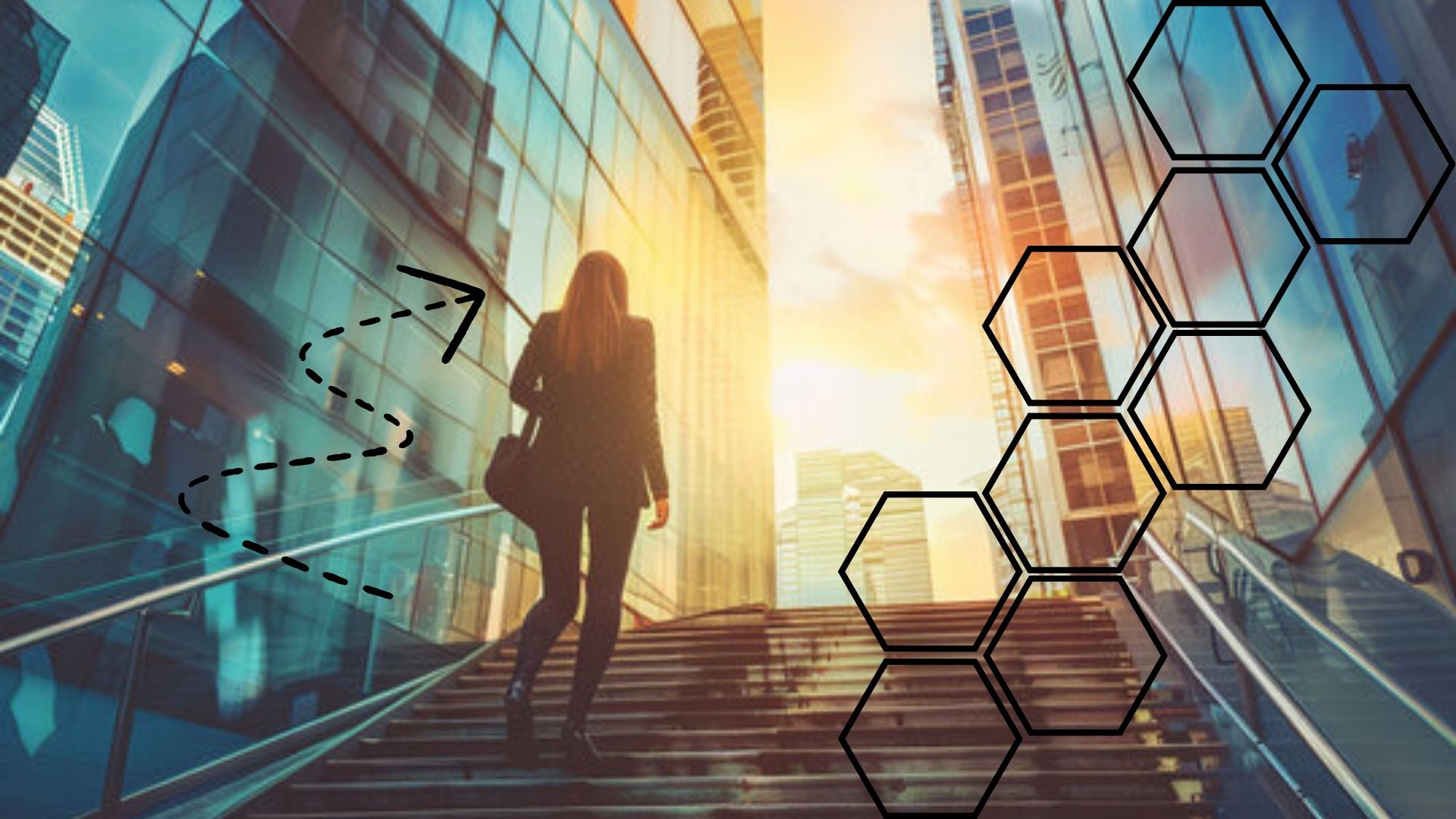 Next Steps and Resources