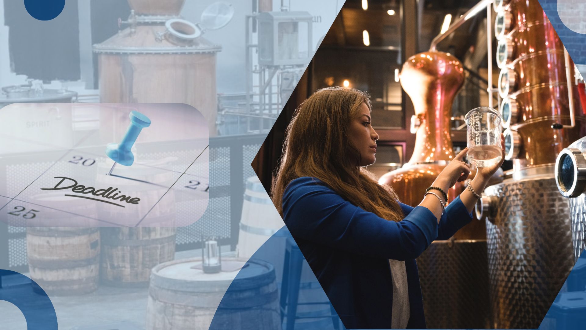 Program Timeline Expectations