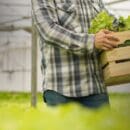 2026 Traceability Grants Round 4: Application Guide - $4 Million Funding Traceability Grants Round 4 2026: Complete $4 Million Eligibility & Application Guide