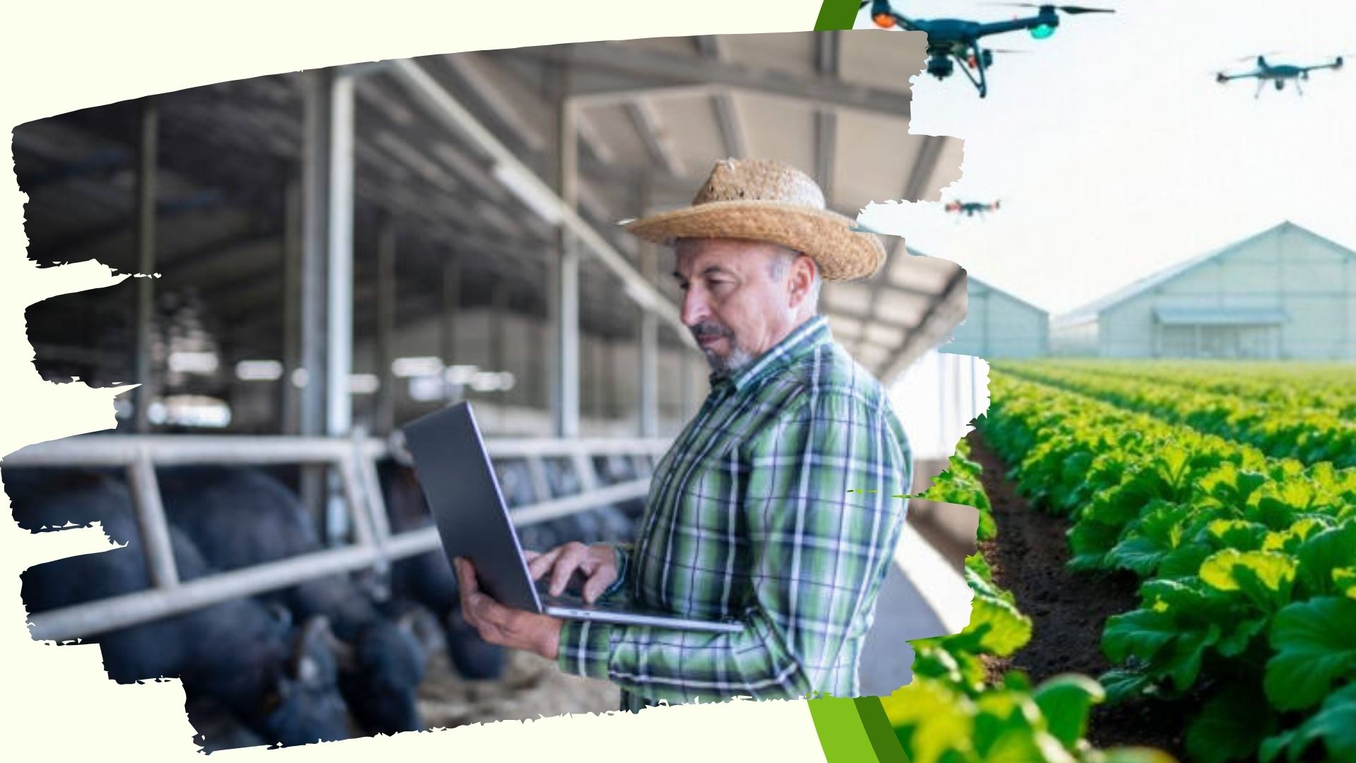 What Current Agtech Programs Can Learn From Farms of the Future
