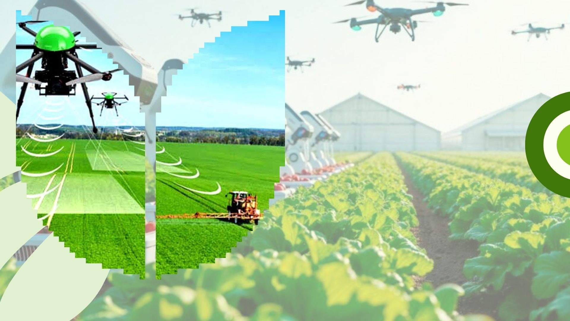 At a Glance: Farms of the Future Agtech Grant