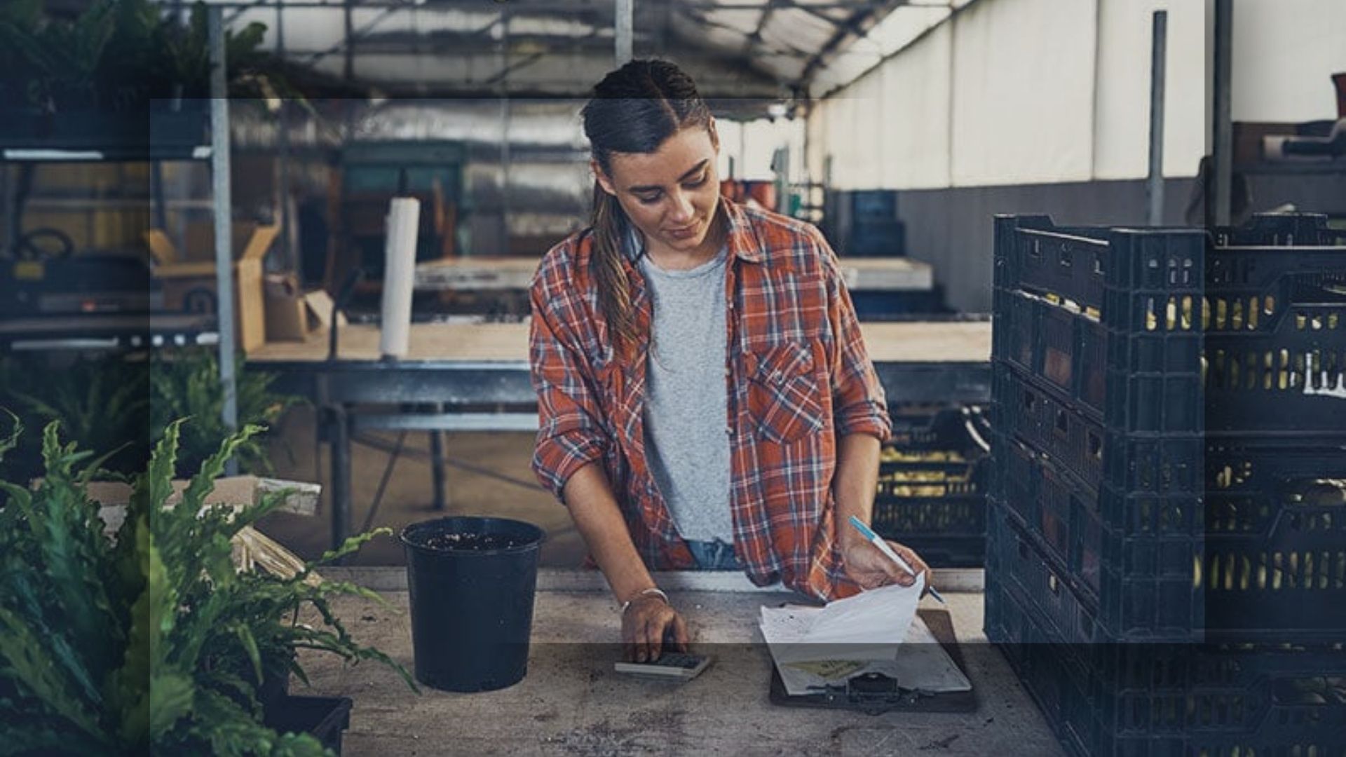 Program 1: Algal Bloom Small Business Support Grant (Up to $50,000)