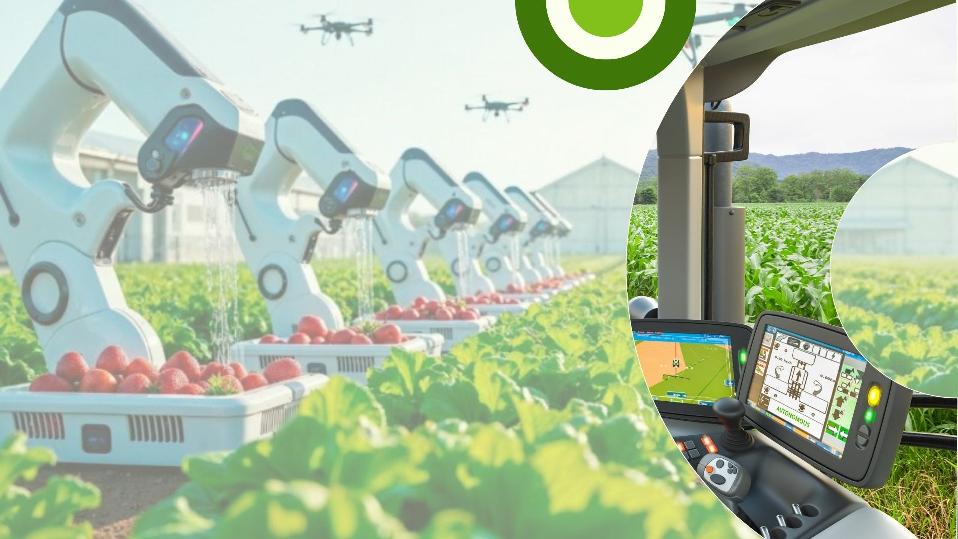 Understanding the Farms of the Future Agtech Program: What Made It Different