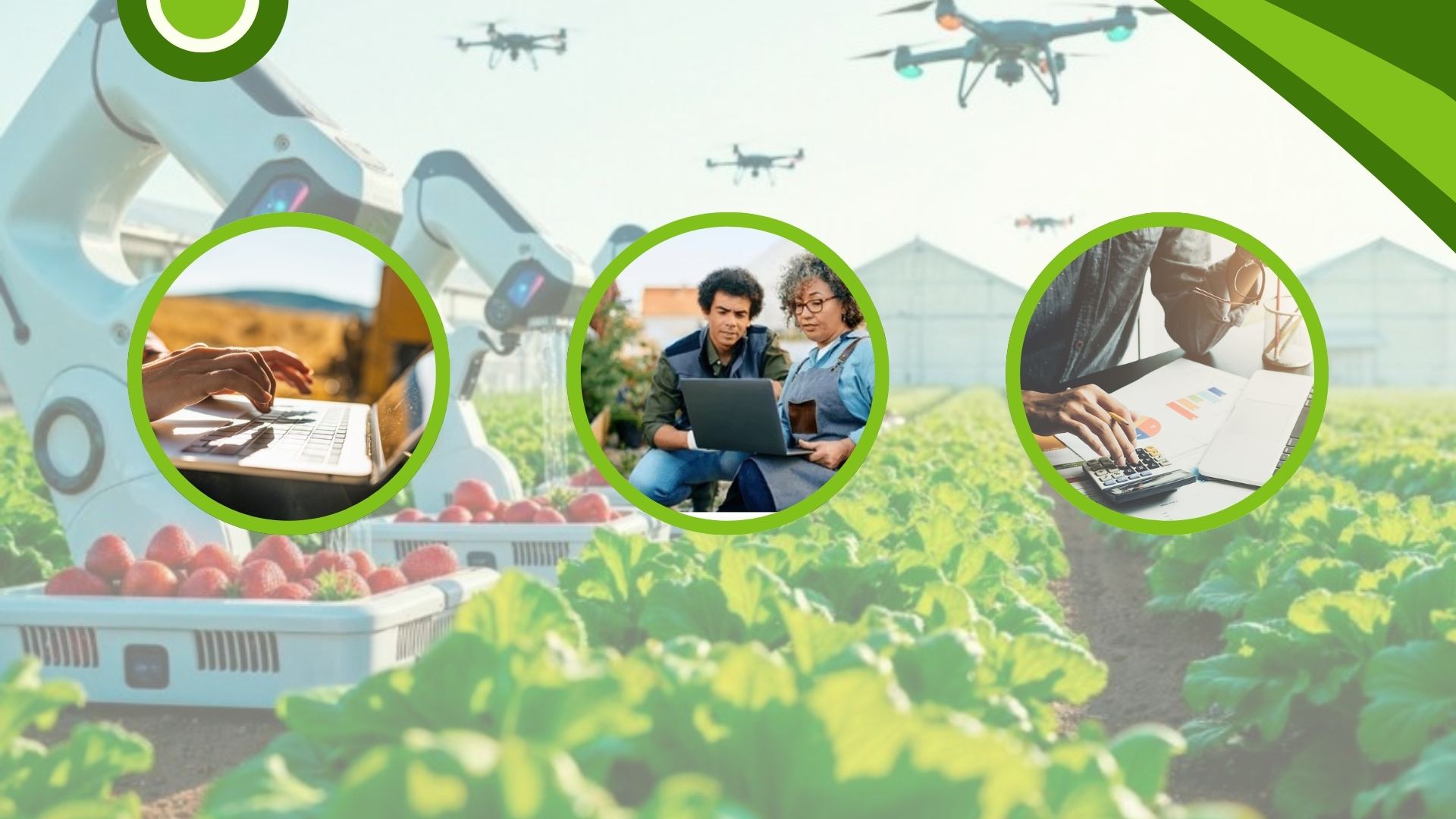 Eligible vs Ineligible Expenses: The Comprehensive Breakdown