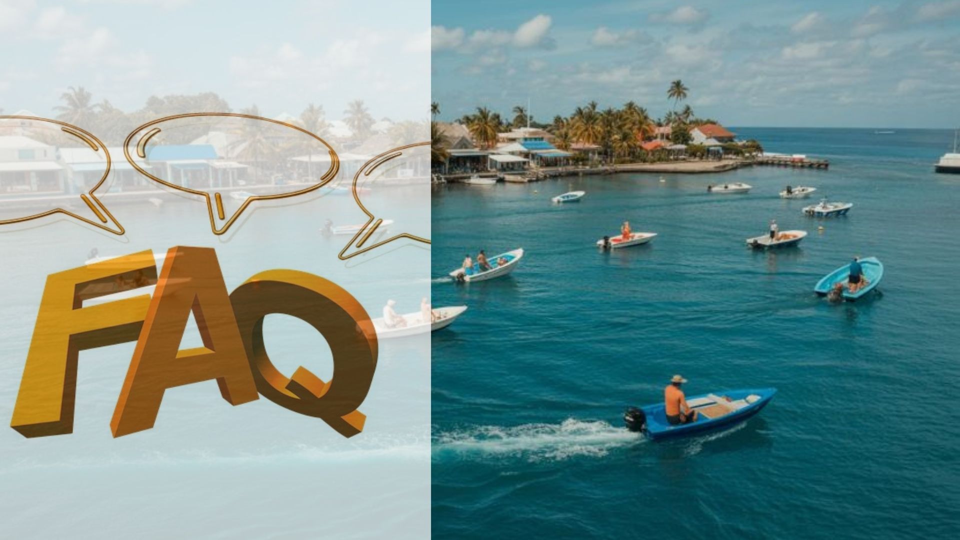 Frequently Asked Questions (FAQ)