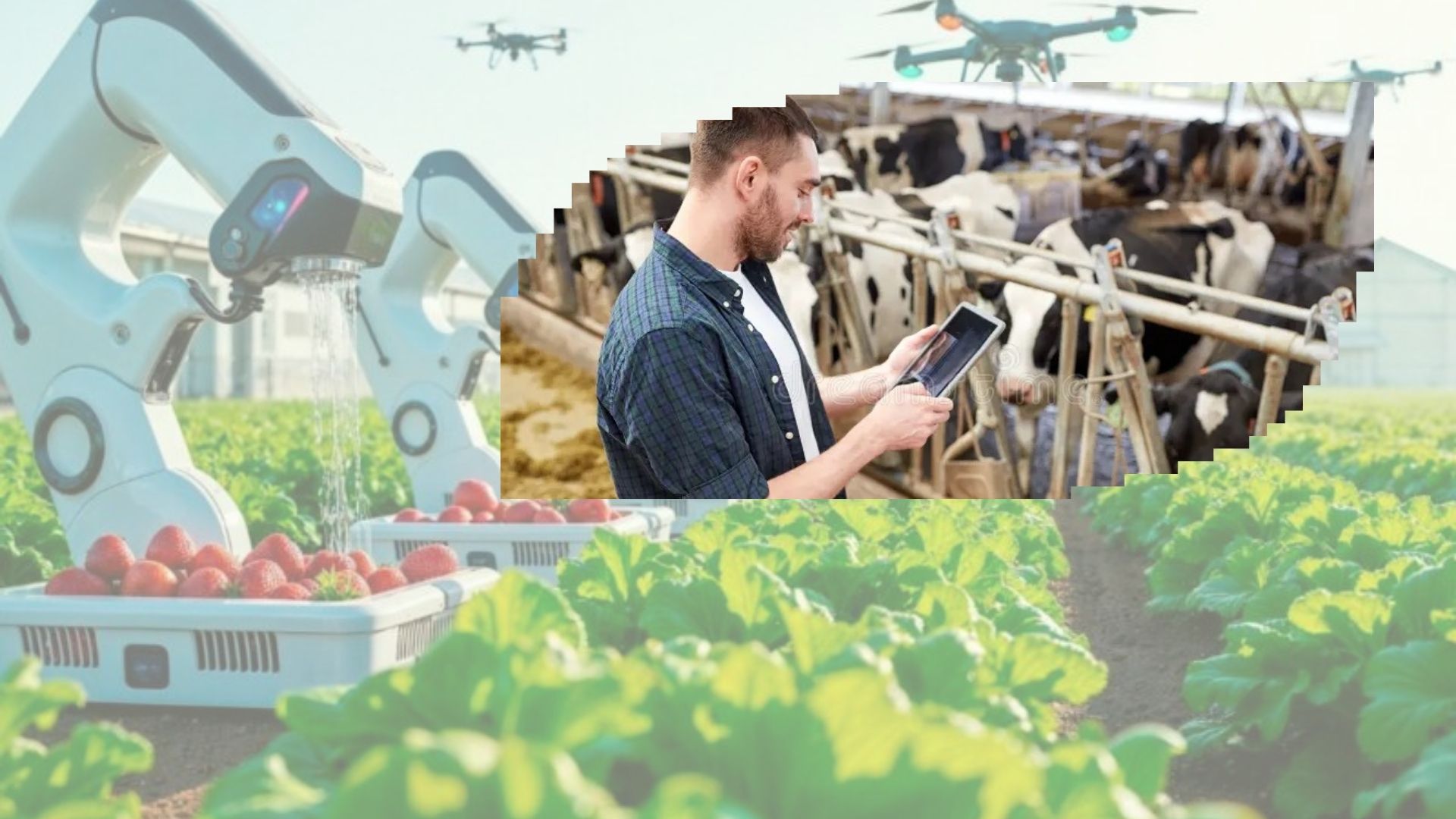 Sector-Specific Agtech Opportunities: What Worked Best by Industry