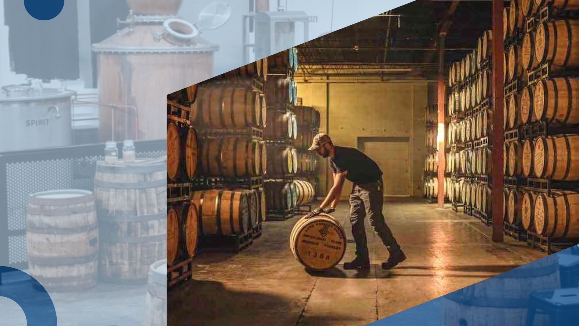 Your Next Steps: Action Plan