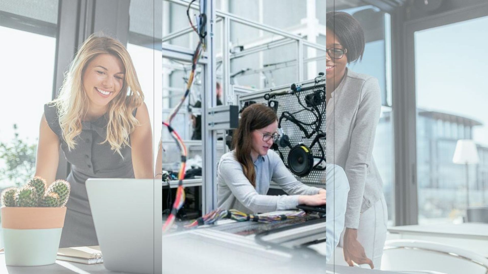 Post-Application: What Happens Next