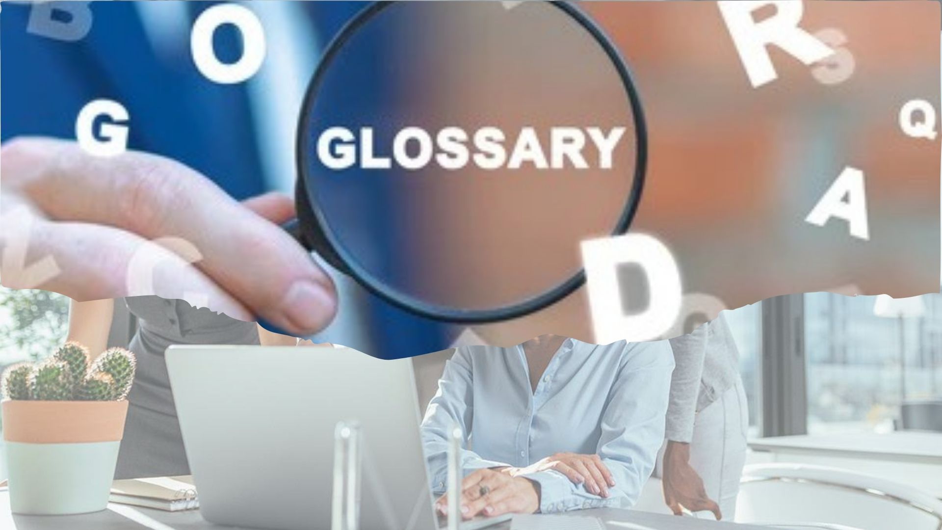 Glossary of Terms