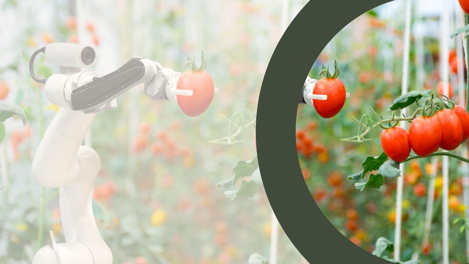 The "Hard" Eligibility Filter: Will Your Agtech Business Qualify?