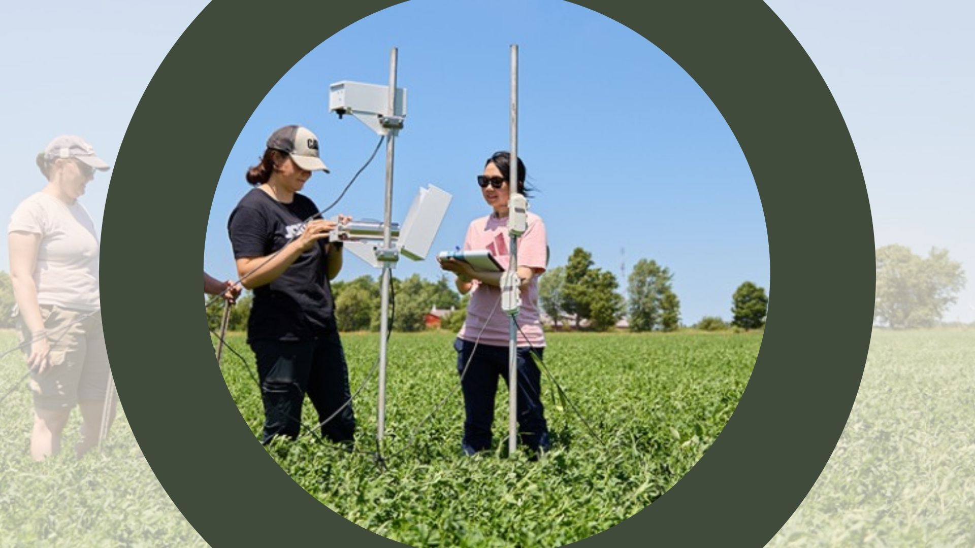 The "Application Killer" Section: 3 Non-Obvious Reasons Agtech IBG Applications Are Rejected