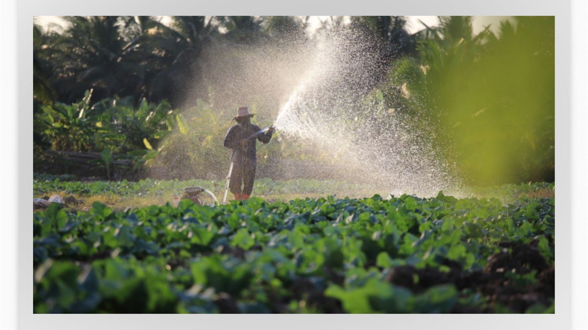The "Application Killer" Section: 3 Non-Obvious Reasons NT Water Grant Applications Fail