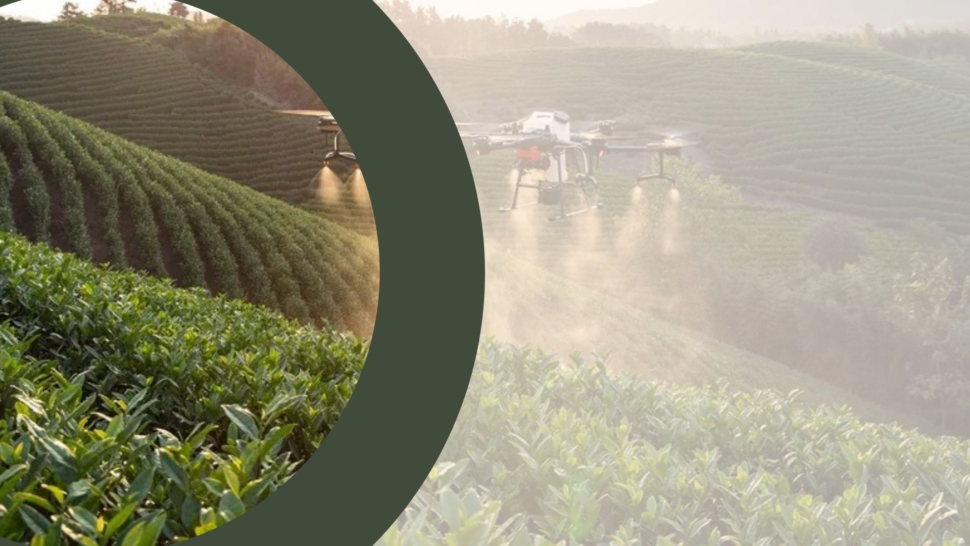 What Can the IBG Fund? Eligible Expenses for Agtech Projects