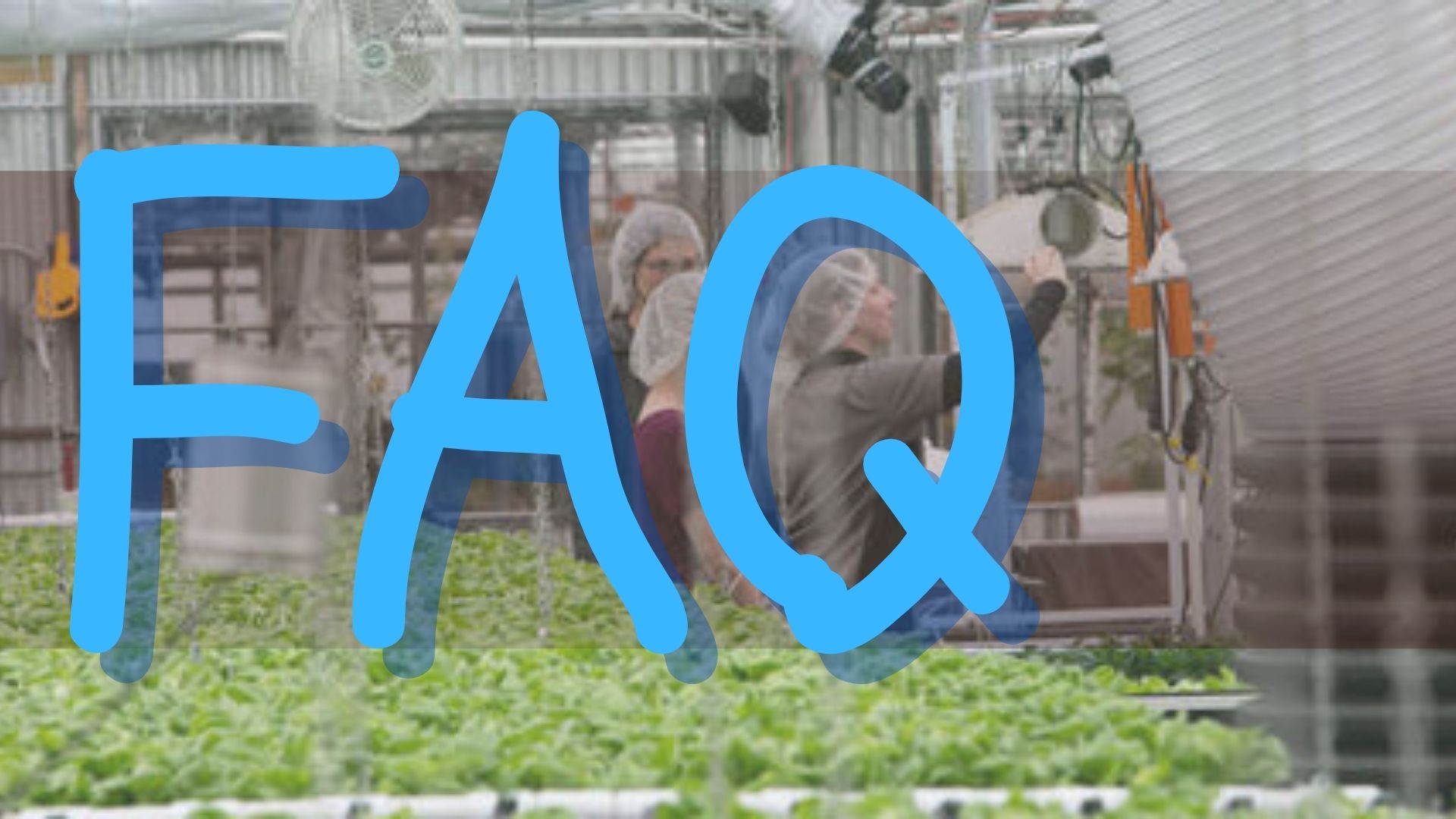 FAQ and Glossary