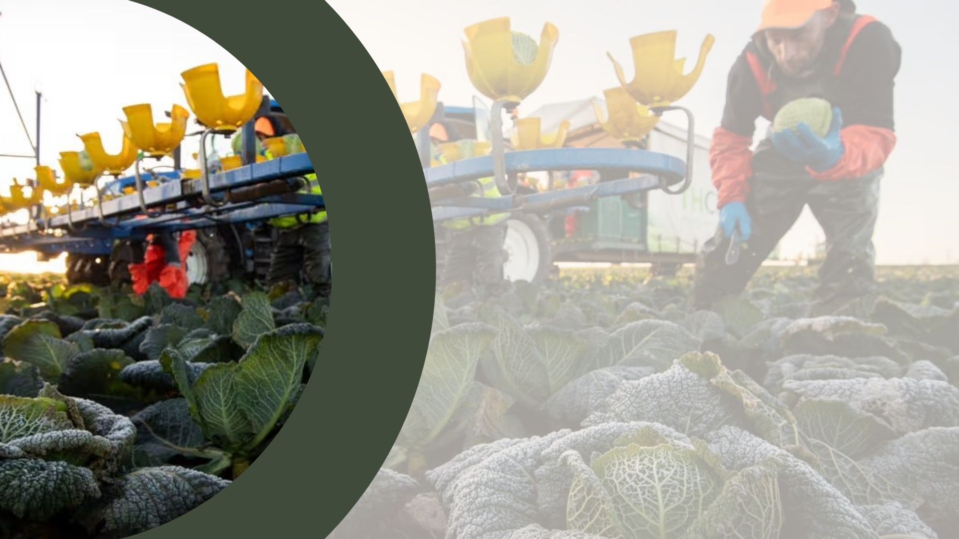 Related Funding for WA Agtech Businesses