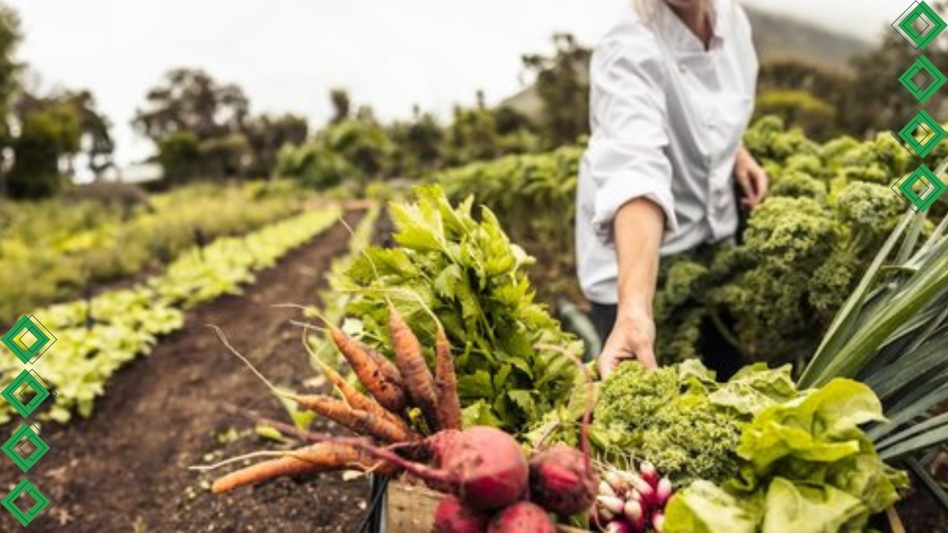 Agriculture and Primary Production Funding in SA
