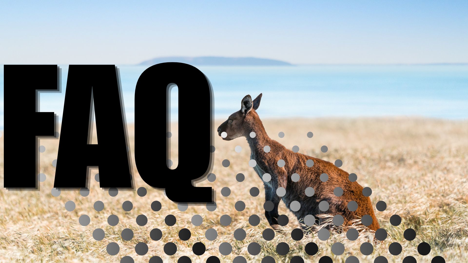 Frequently Asked Questions
