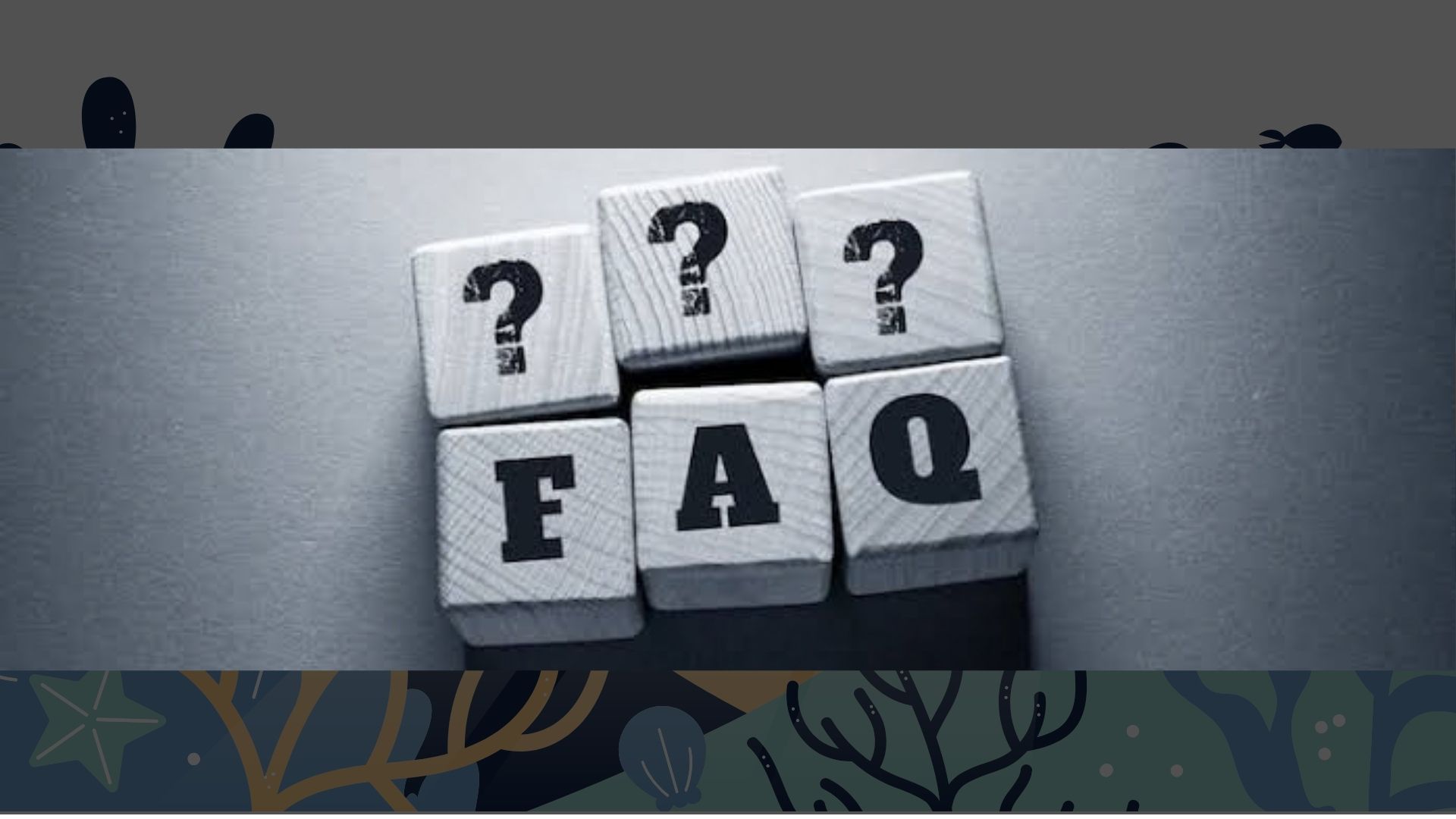 Frequently Asked Questions