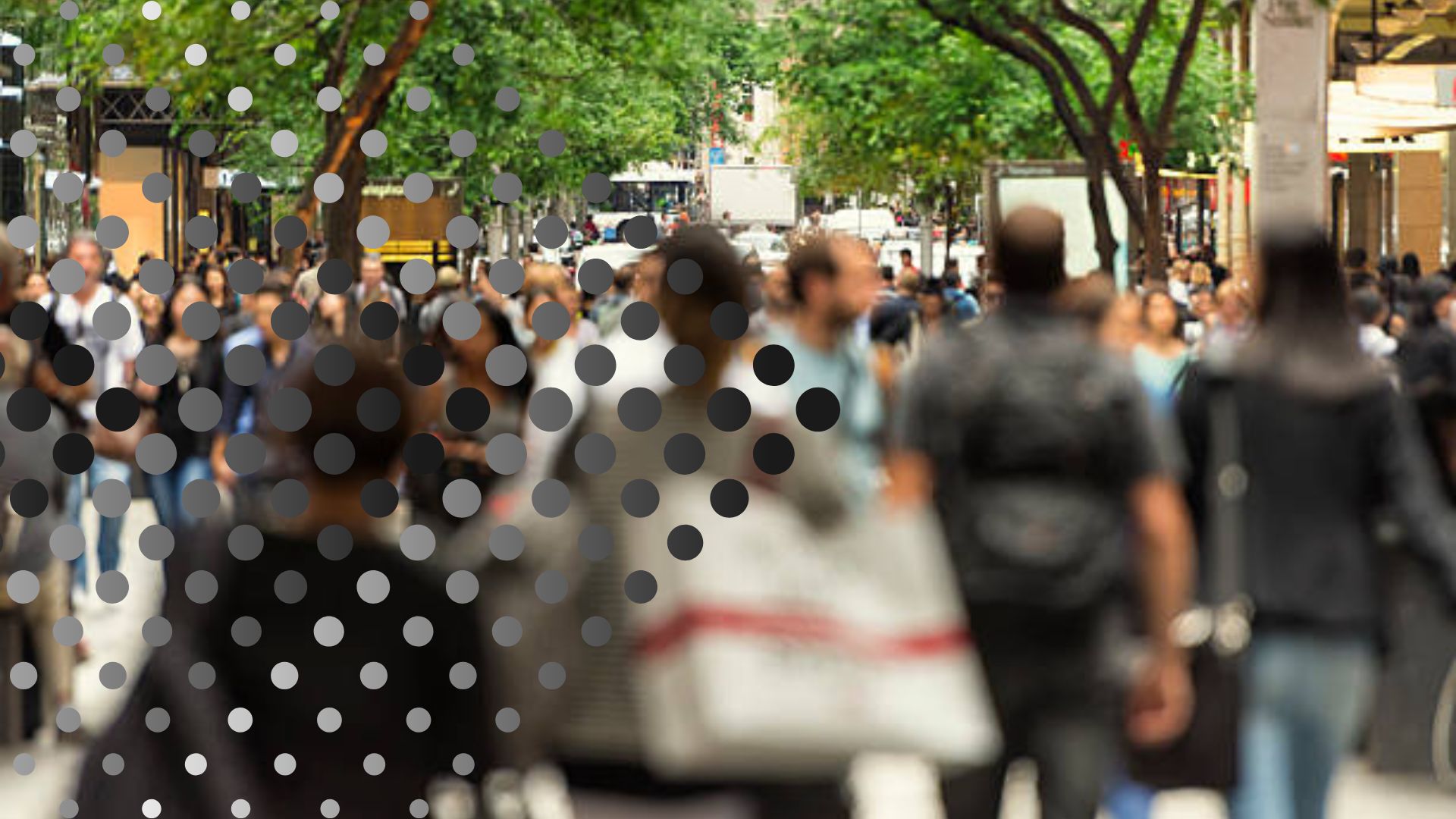 What Is the Tourism Business Capability Subsidy?