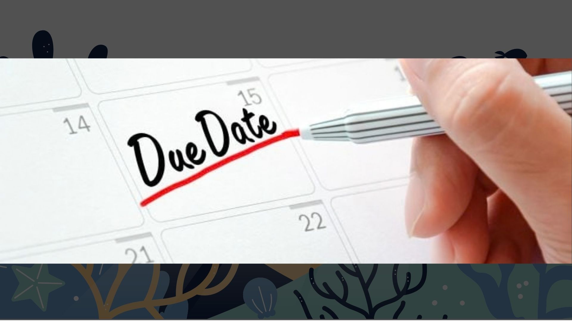 Key Dates and Deadlines