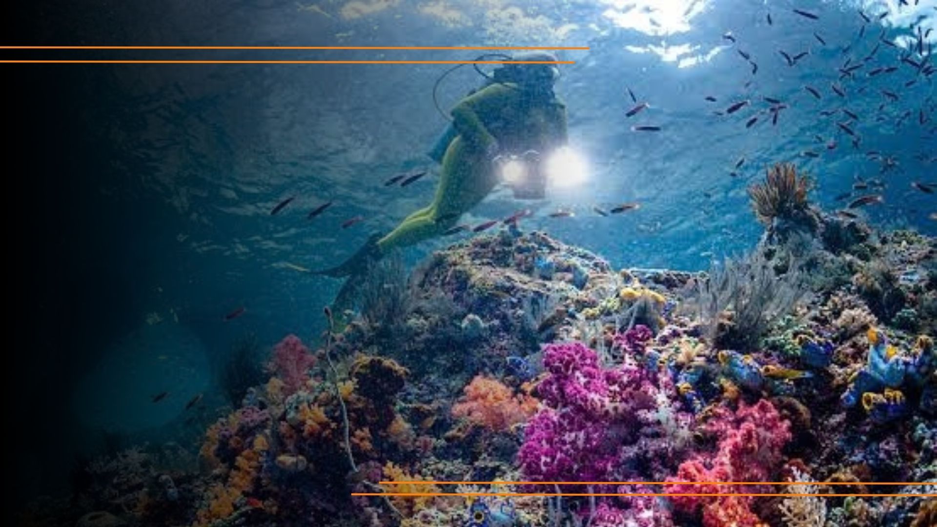 What is Our Marine Parks Grants?